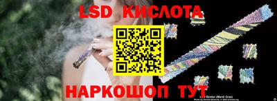 прущие грибы Брянск