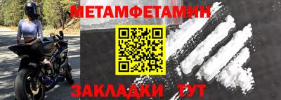 прущие грибы Брянск