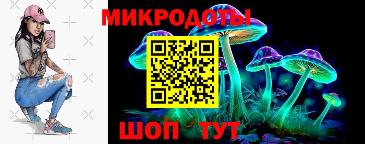 Галлюциногенные грибы Psilocybine cubensis  Вход с VPN  Великий Устюг 